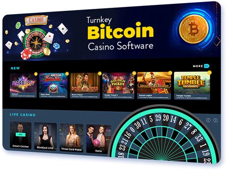 6 Best Bitcoin Casino Softwares .